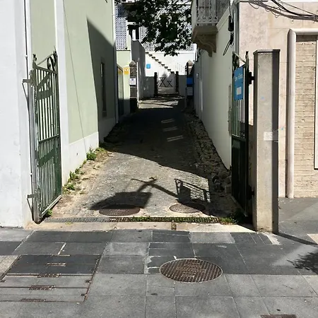 Flower Vintage 3* سينترا